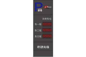 重庆车牌识别系统安装大华出入口显示屏DH-IPMPGI-230AB